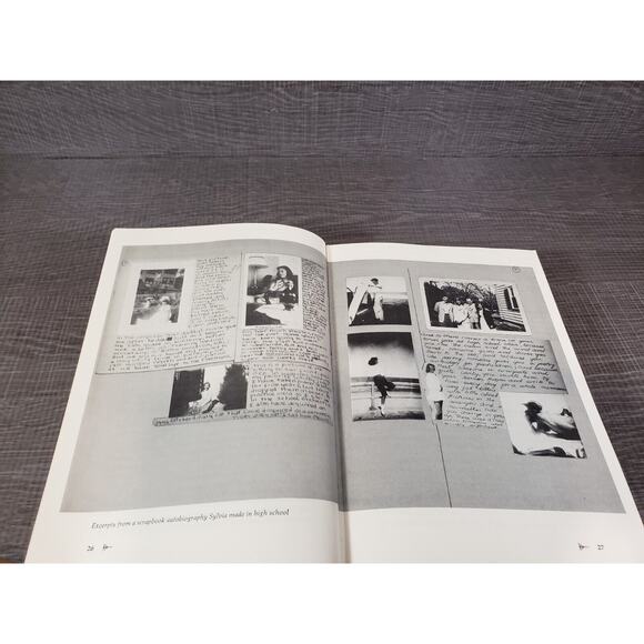 Letters Home by Sylvia Plath, Correspondence 1950-1963, Hardcover 1975 First Ed. - Picture 11 of 16